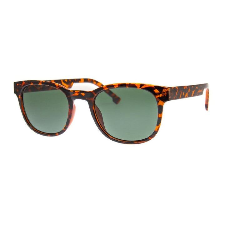 HILL ST - SUNGLASSES (NO Magnification) - TORTOISE